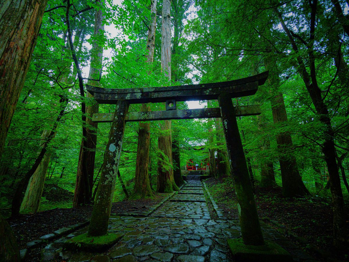 運試しの鳥居 | GANREF