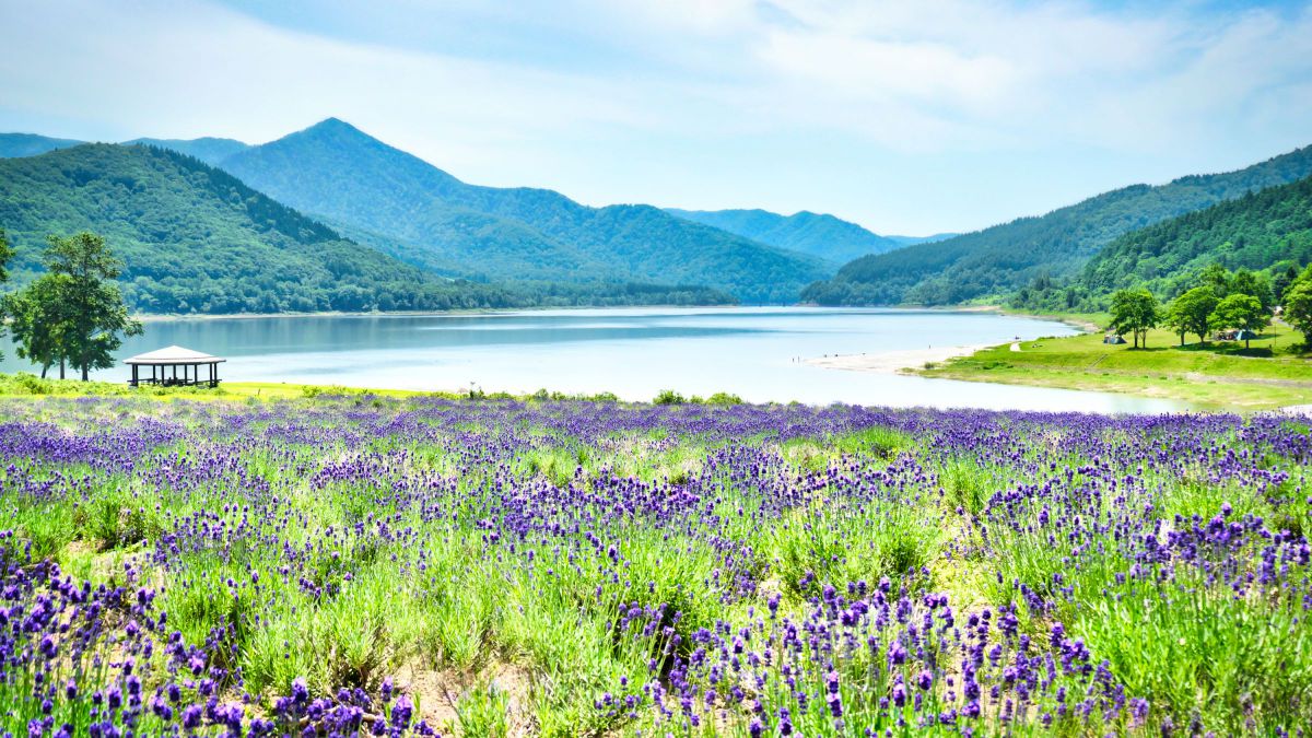 パナソニック LUMIX DC-TX2で撮影された写真 - 価格.com tk0492様専用