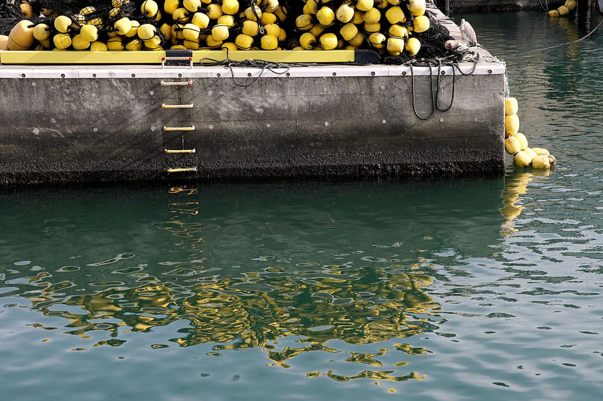 Full of yellow | GANREF