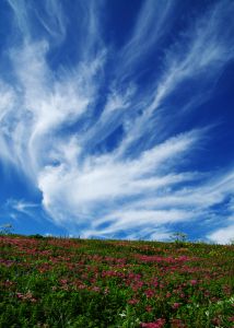 竜神曇と鳳凰同時撮影　自然風景写真 c27068fa0f7a28cfd0b7c0d0071af4