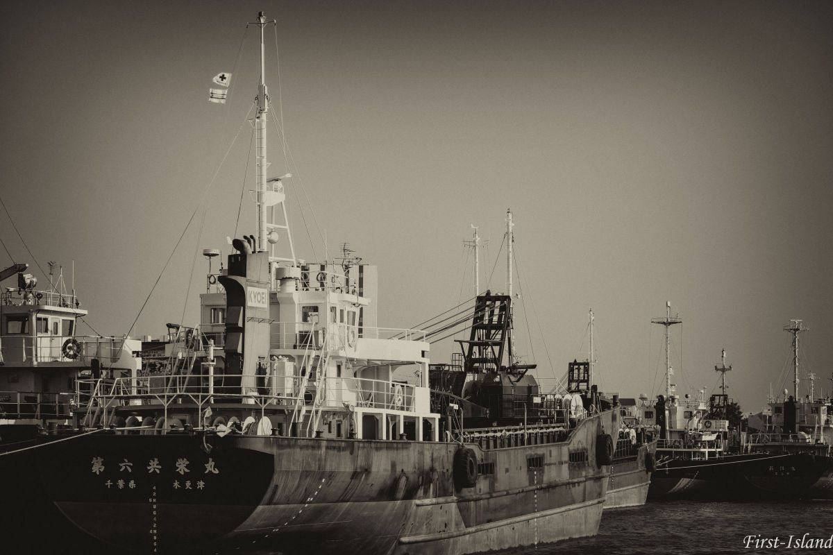 木更津港にて Ⅲ GANREF