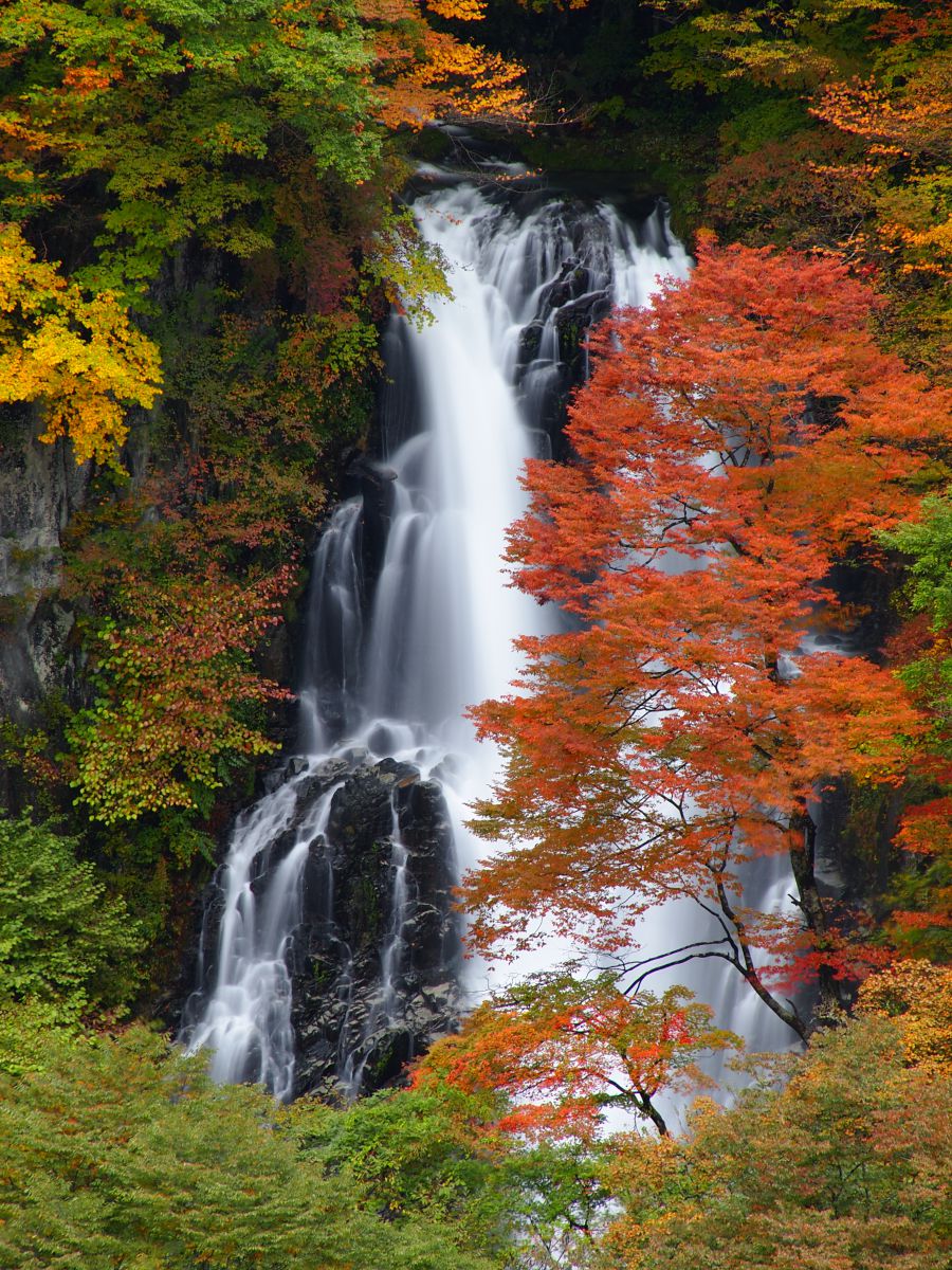 ✨美品✨簡単に本格的な写真が撮れる✨OLYMPUS E-620　111-1 Olympus XZ-1 Review: Digital Photography Review