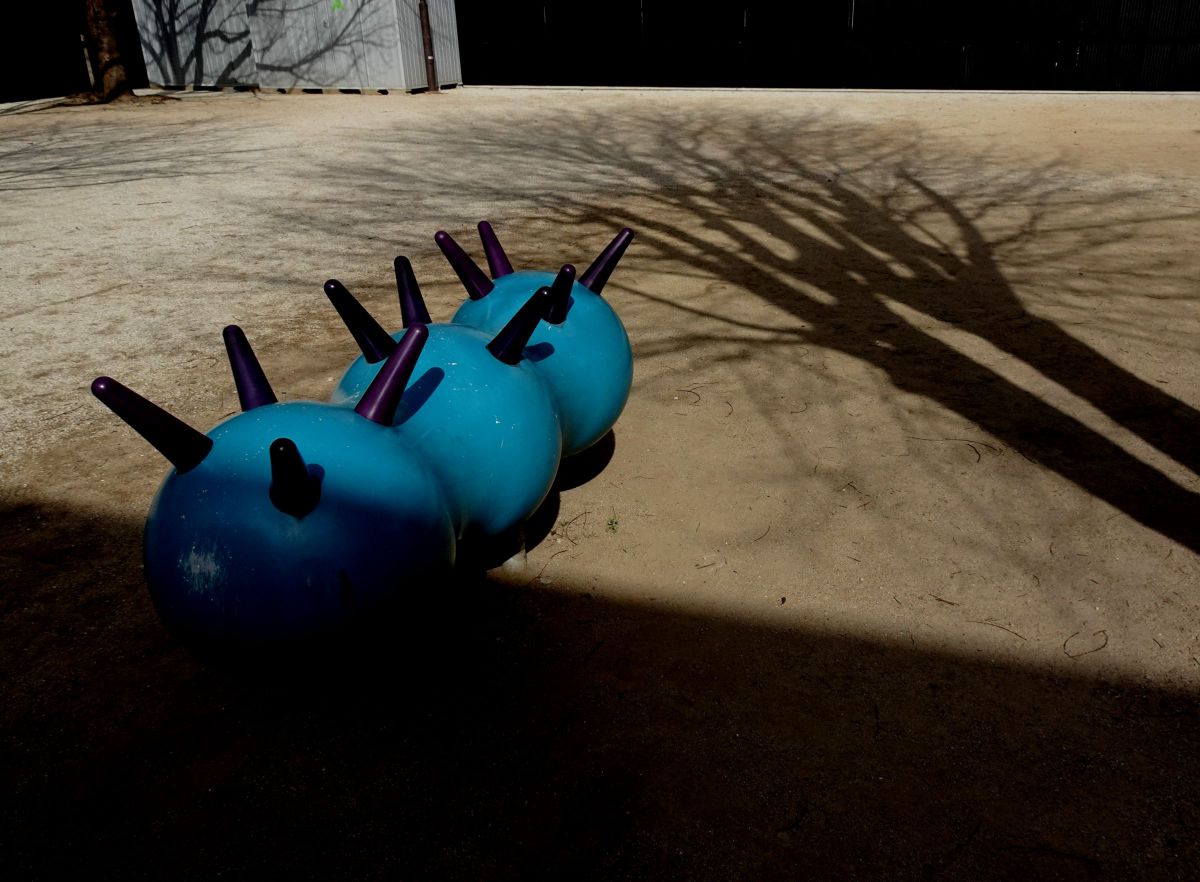 Cyber-shot DSC-HX99で撮影された写真 | 写真検索 | GANREF