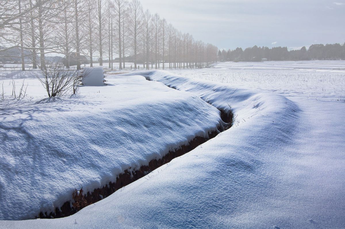 AT-X 17-35 F4 PRO FXで撮影された写真 | 写真検索 | GANREF 