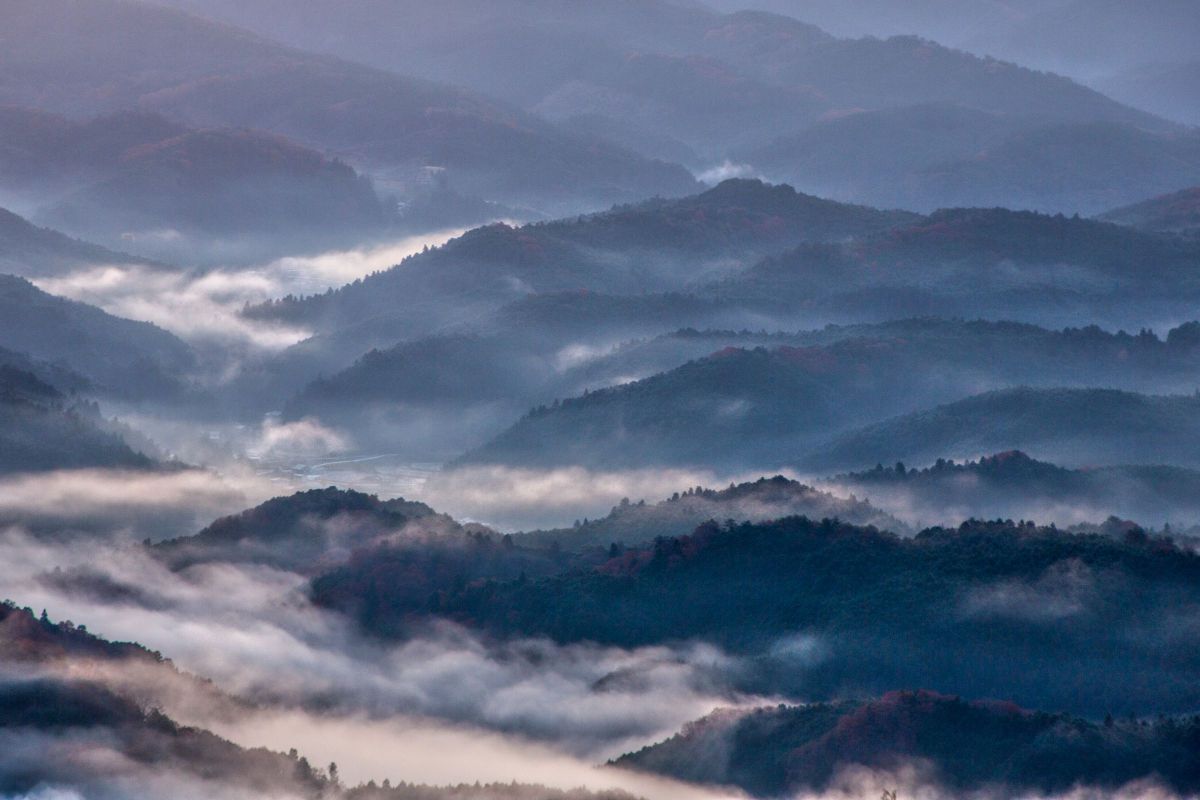 EOS 5D Mark IIIで撮影された写真 | 写真検索 | GANREF