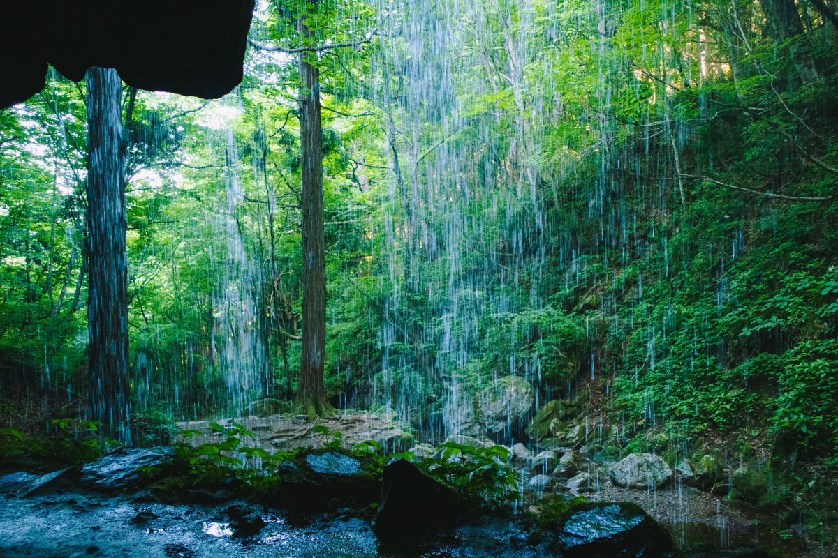 裏見の滝 自然 風景 滝 Ganref