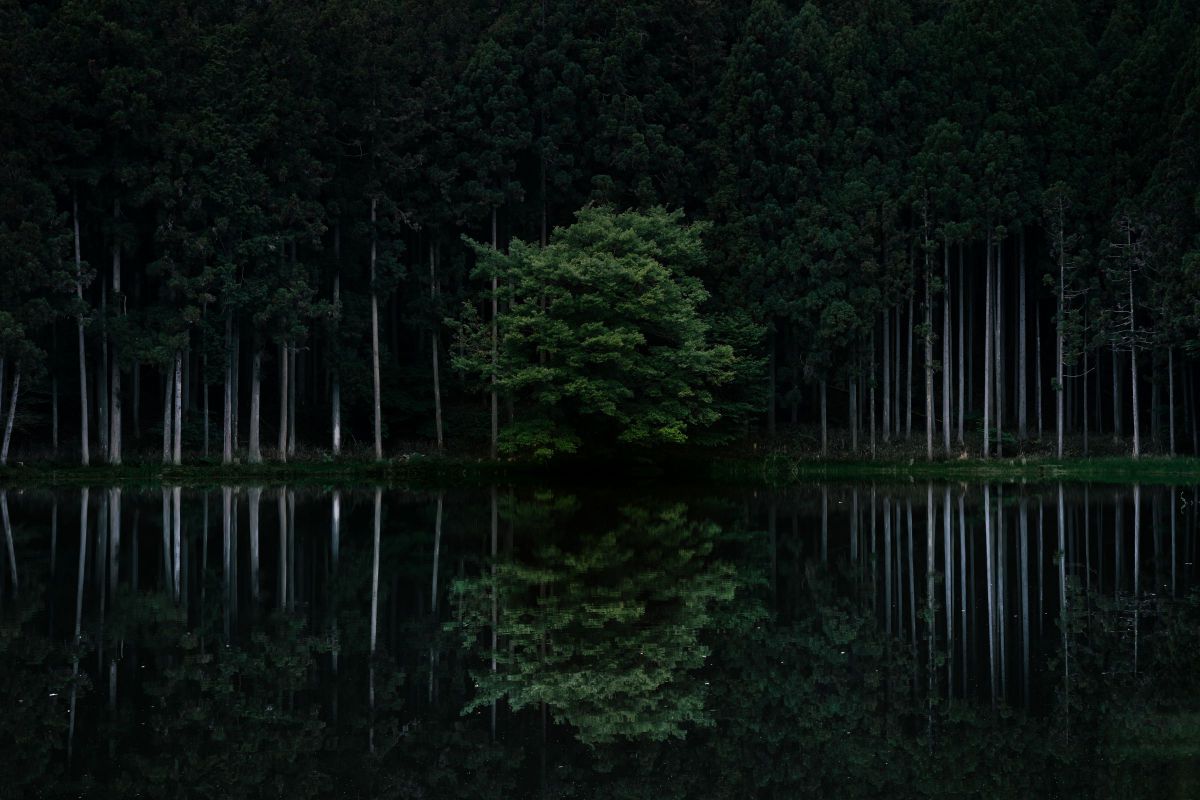 XF33mmF1.4 R LM WRで撮影された写真 | 写真検索 | GANREF