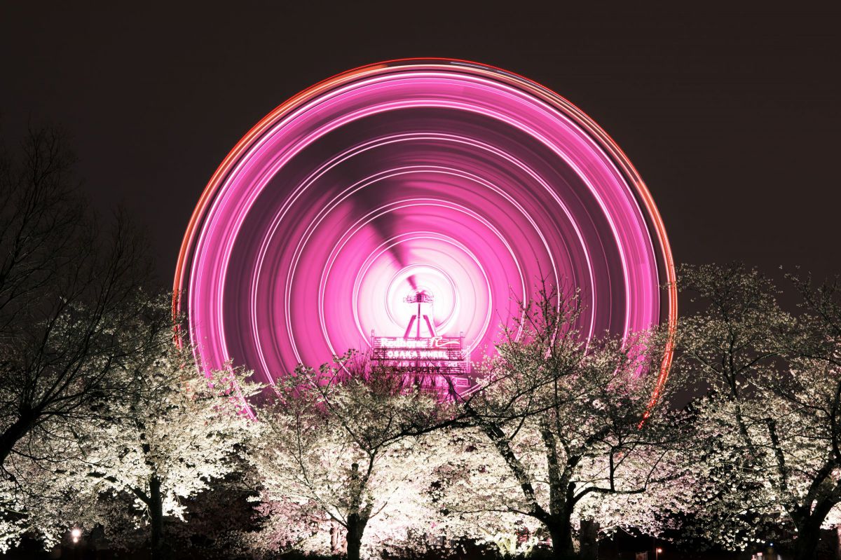 XF56mmF1.2 R WRで撮影された写真 | 写真検索 | GANREF