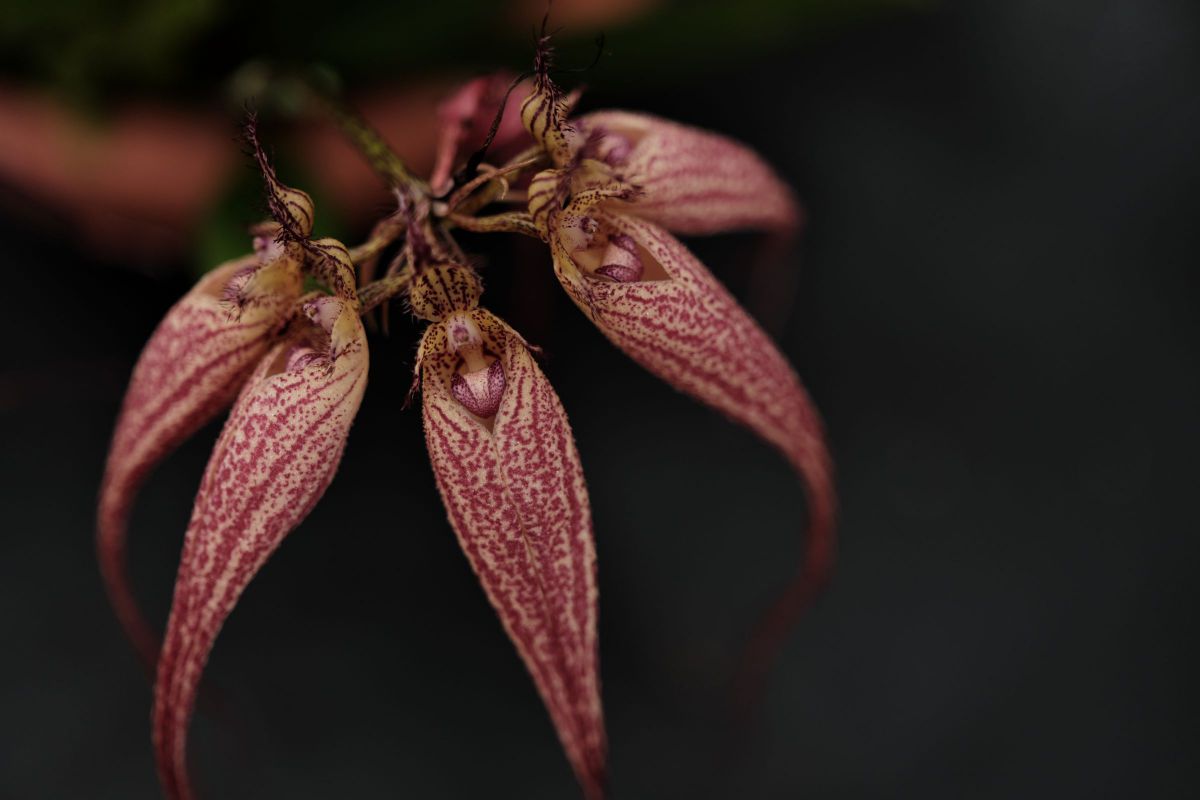 XF33mmF1.4 R LM WRで撮影された写真 | 写真検索 | GANREF