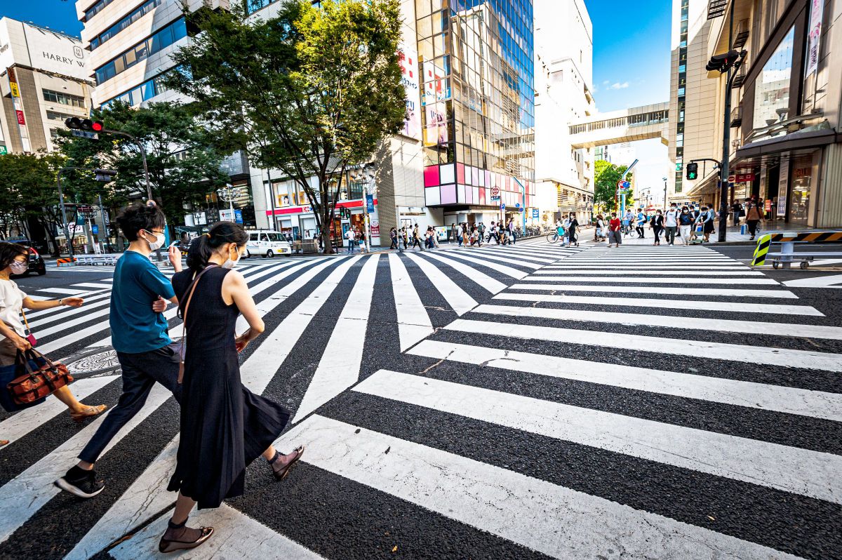 ゼブラゾーン GANREF