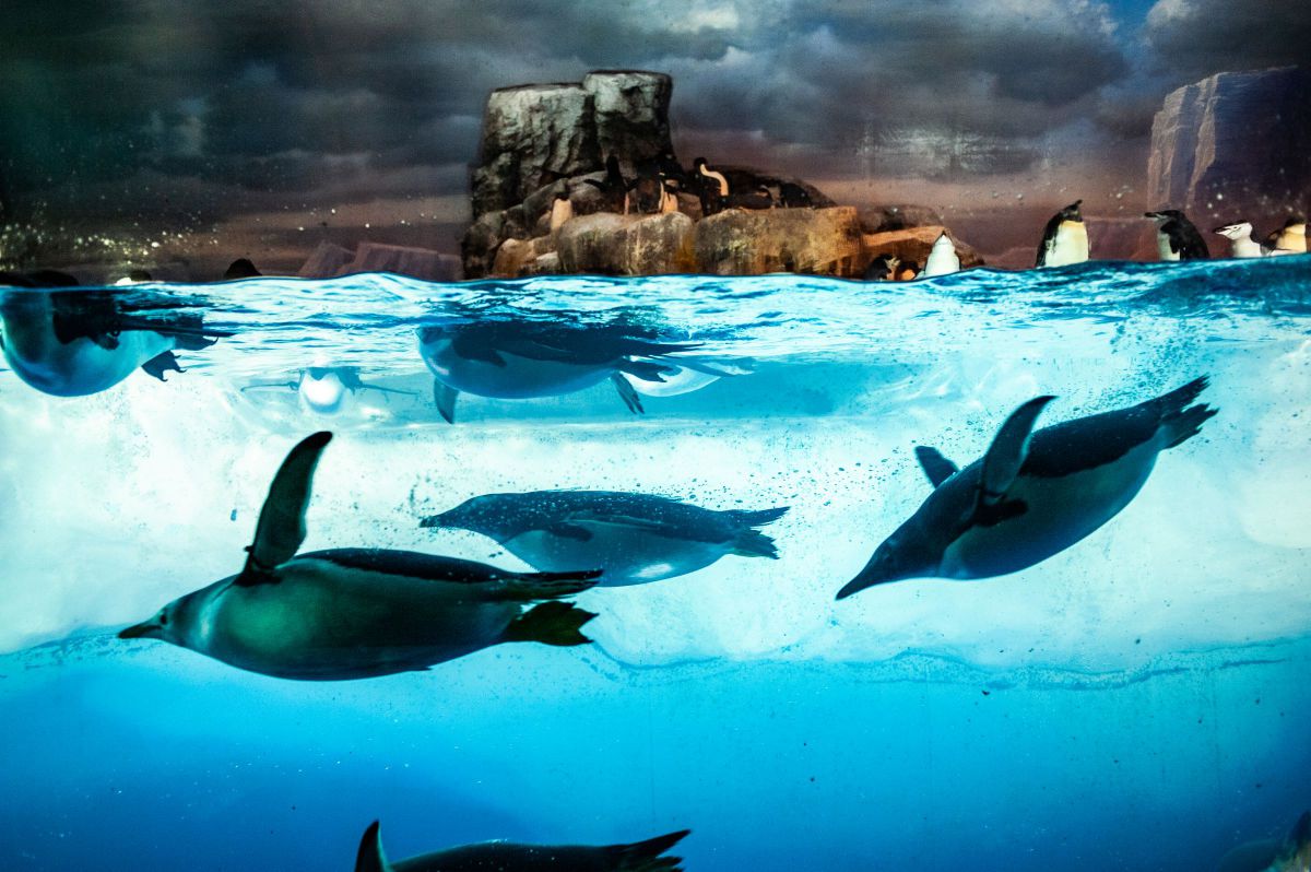 Ai AF Nikkor 28mm f/2.8Dで撮影された写真 | 写真検索 | GANREF