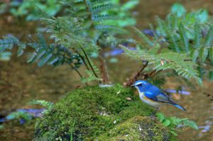 4f98a862c355b37a75c2b9d52b45ab