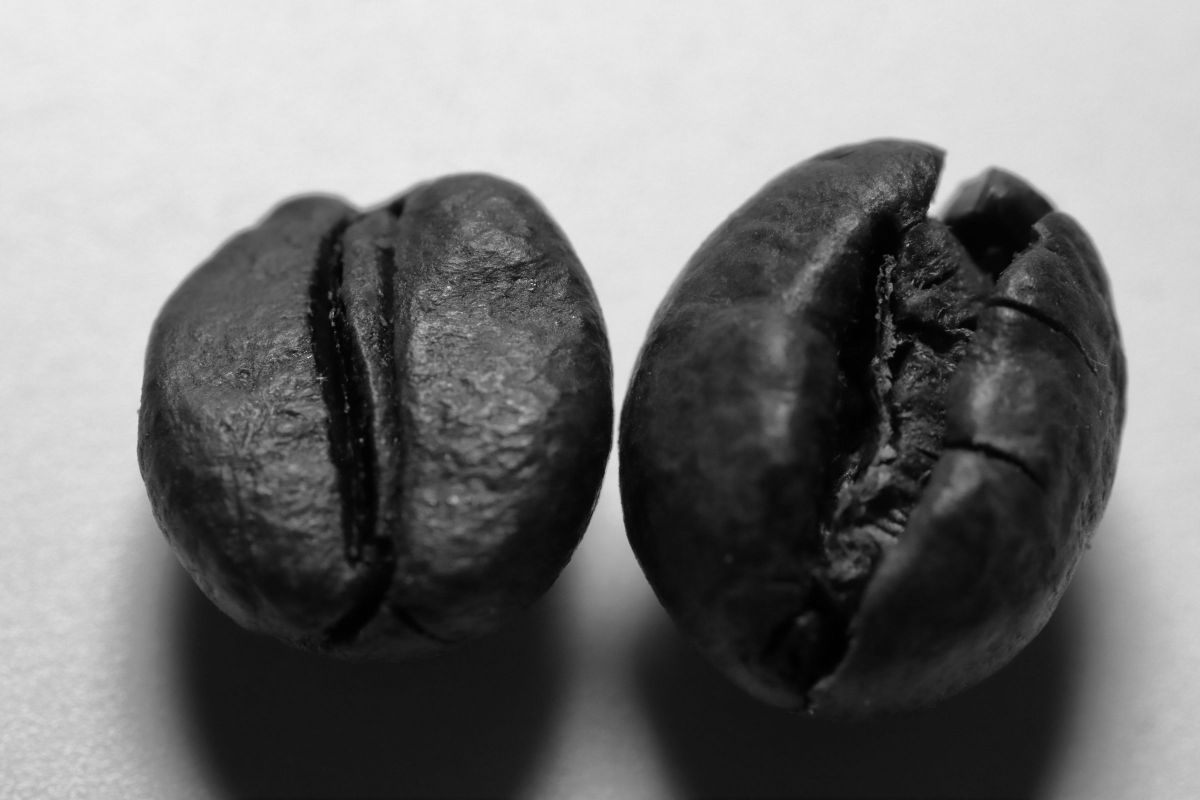 BEANS | GANREF