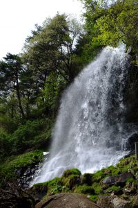 秘境の岩清水 富士山バナジウムウォーター（富士玄武岩層の伏流水） | 株式