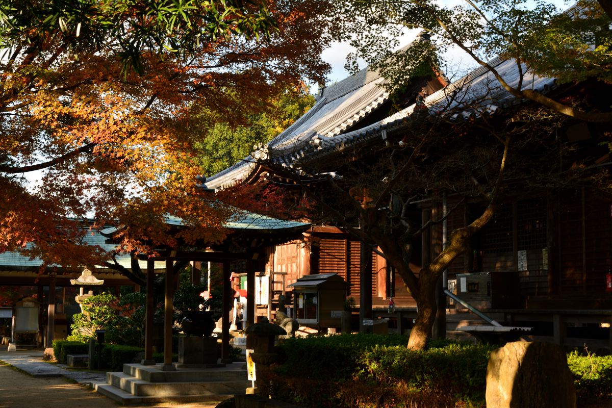 夕方の白峰寺 街並み 建物 神社 寺 教会 Ganref 夕方の白峰寺 街並み 建物 神社 寺 教会 Ganref
