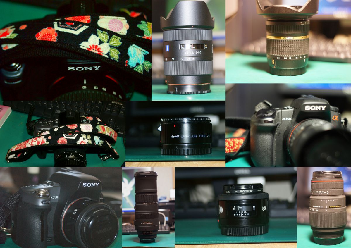 AF 50mm F1.7 Newで撮影された写真 | 写真検索 | GANREF