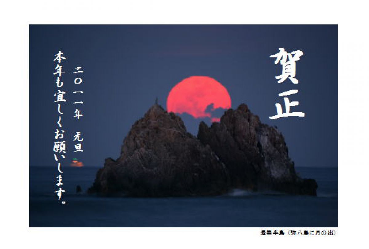 APO 300-800mm F5.6 EX DG HSMで撮影された写真 | 写真検索 | GANREF