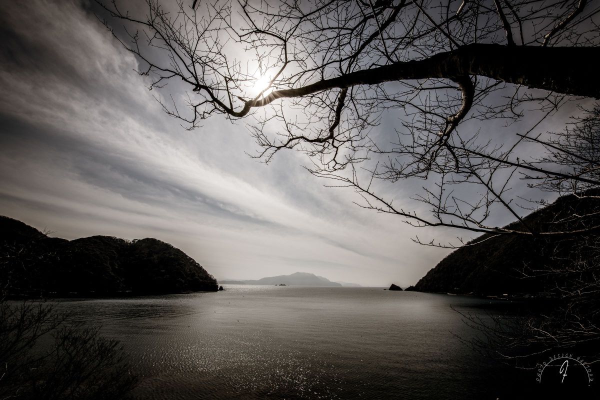 Winter Light | GANREF