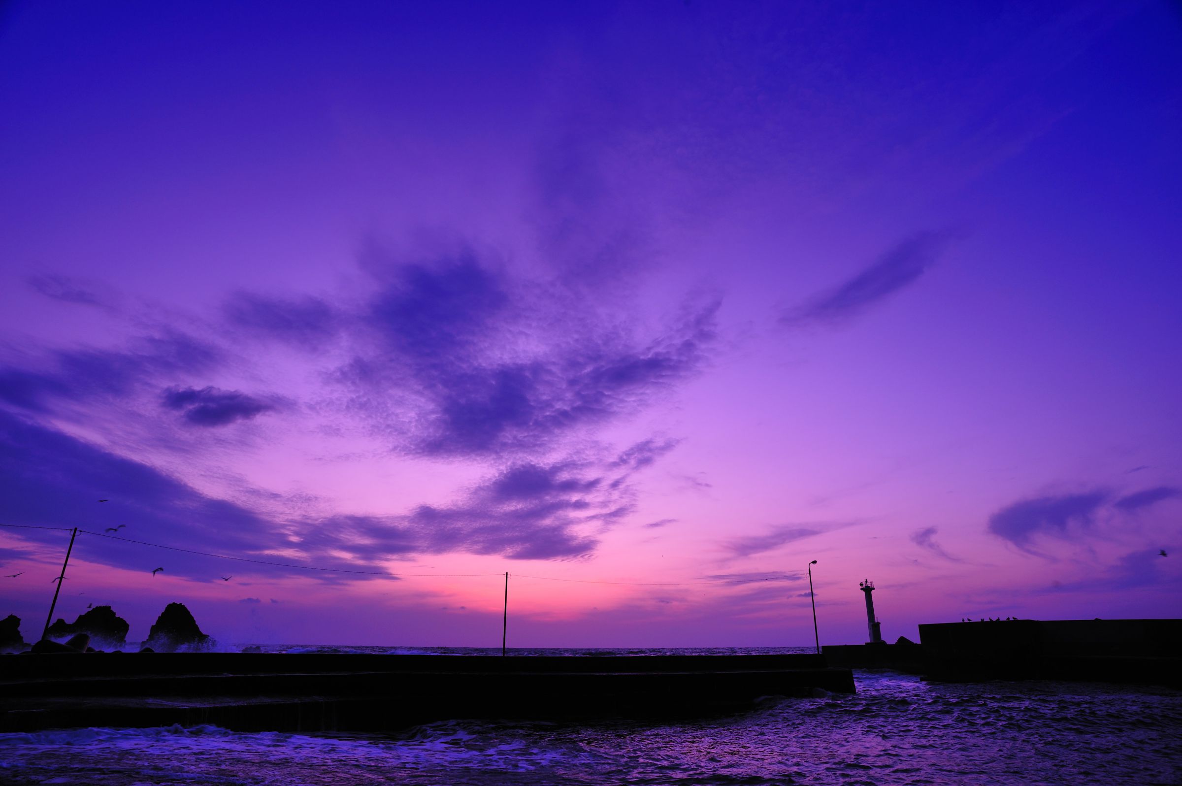 油絵 海 雲 紫 油絵 海 雲 紫 油絵 海 雲 紫 油絵 海 雲 紫（作品一覧 注目の