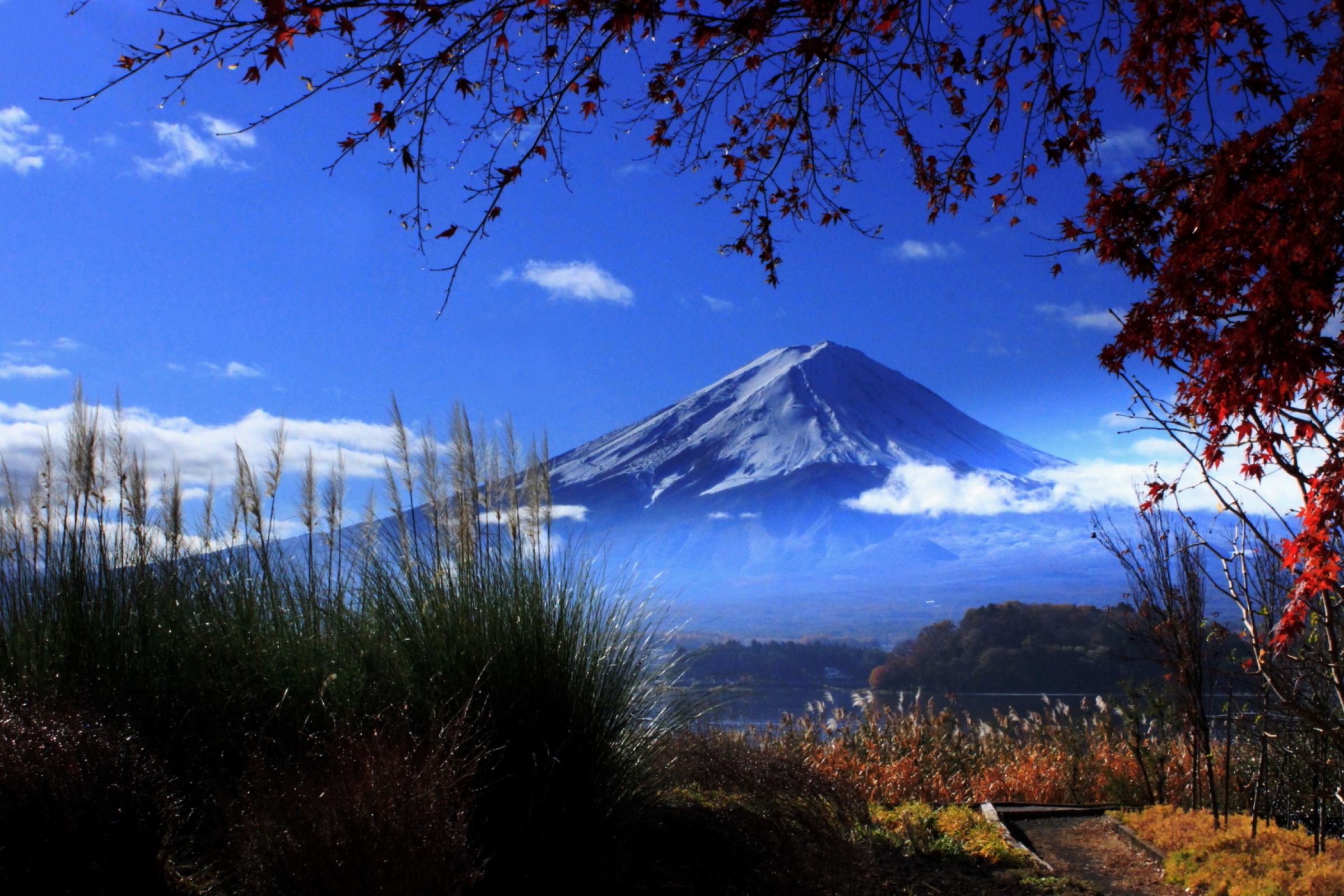 日本の秋・厳選風景16年【 風景写真 9-10月号　2007〜2022年】16冊 日本の秋・厳選風景16年【 風景写真 9-10月号 2007〜2022年】16冊