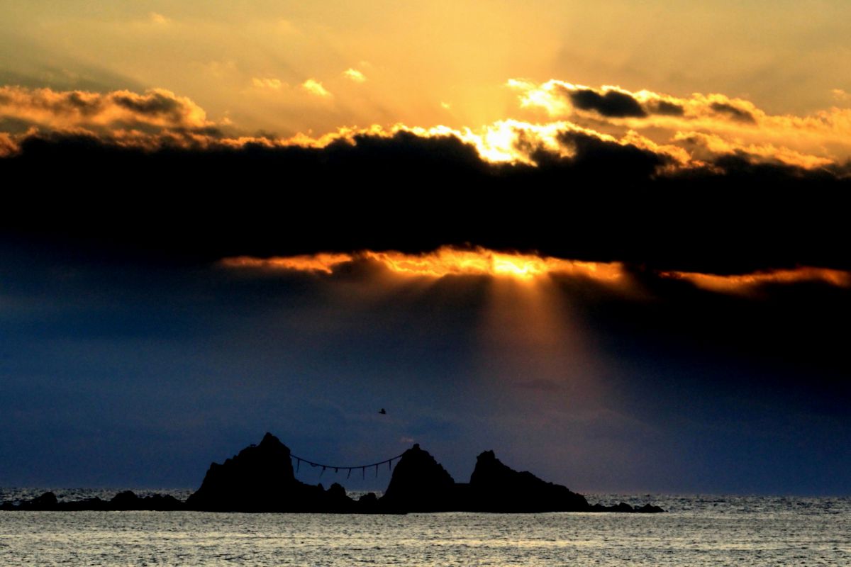 EF55-200mm F4.5-5.6 II USMで撮影された写真 | 写真検索 | GANREF