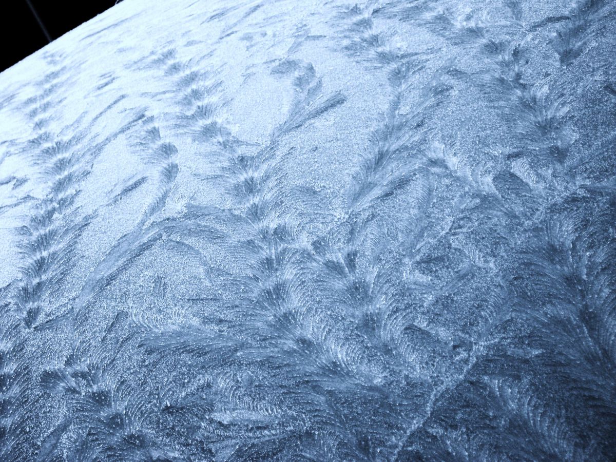 0011 氷の鳥 自然 風景 気象 天候 天気 Ganref