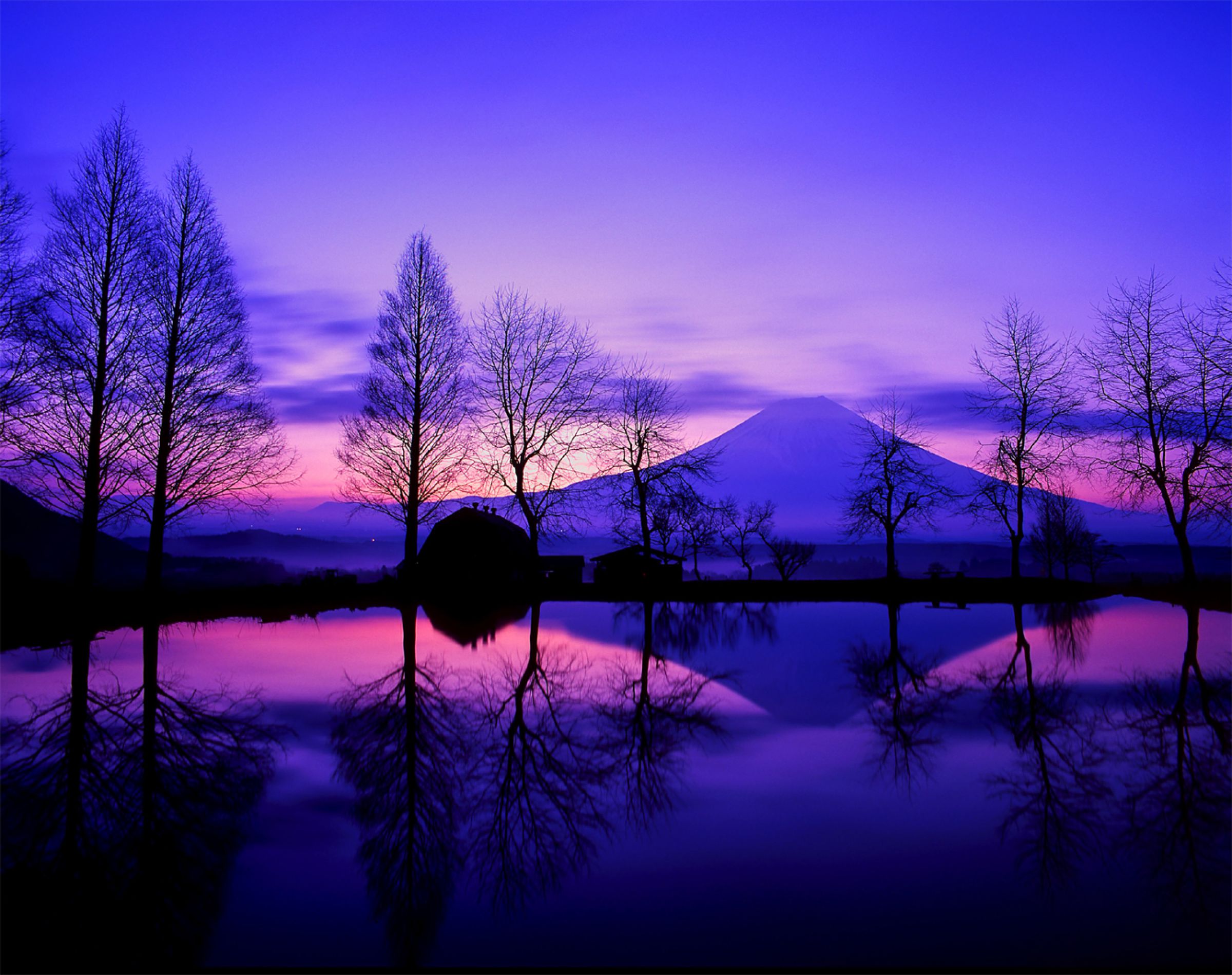 薄紫の夜明け.jpg | GANREF