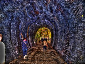 214e79d32667ae3d1b7788ff8a2e6d