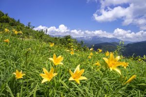 74be25e46f1c7a3fafab7b241bccca