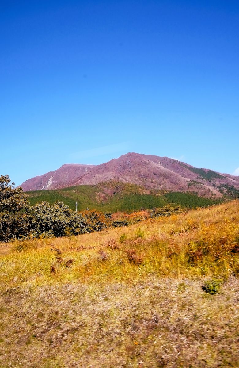 久住山の裾野は草紅葉が始まっていました 自然 風景 山 Ganref