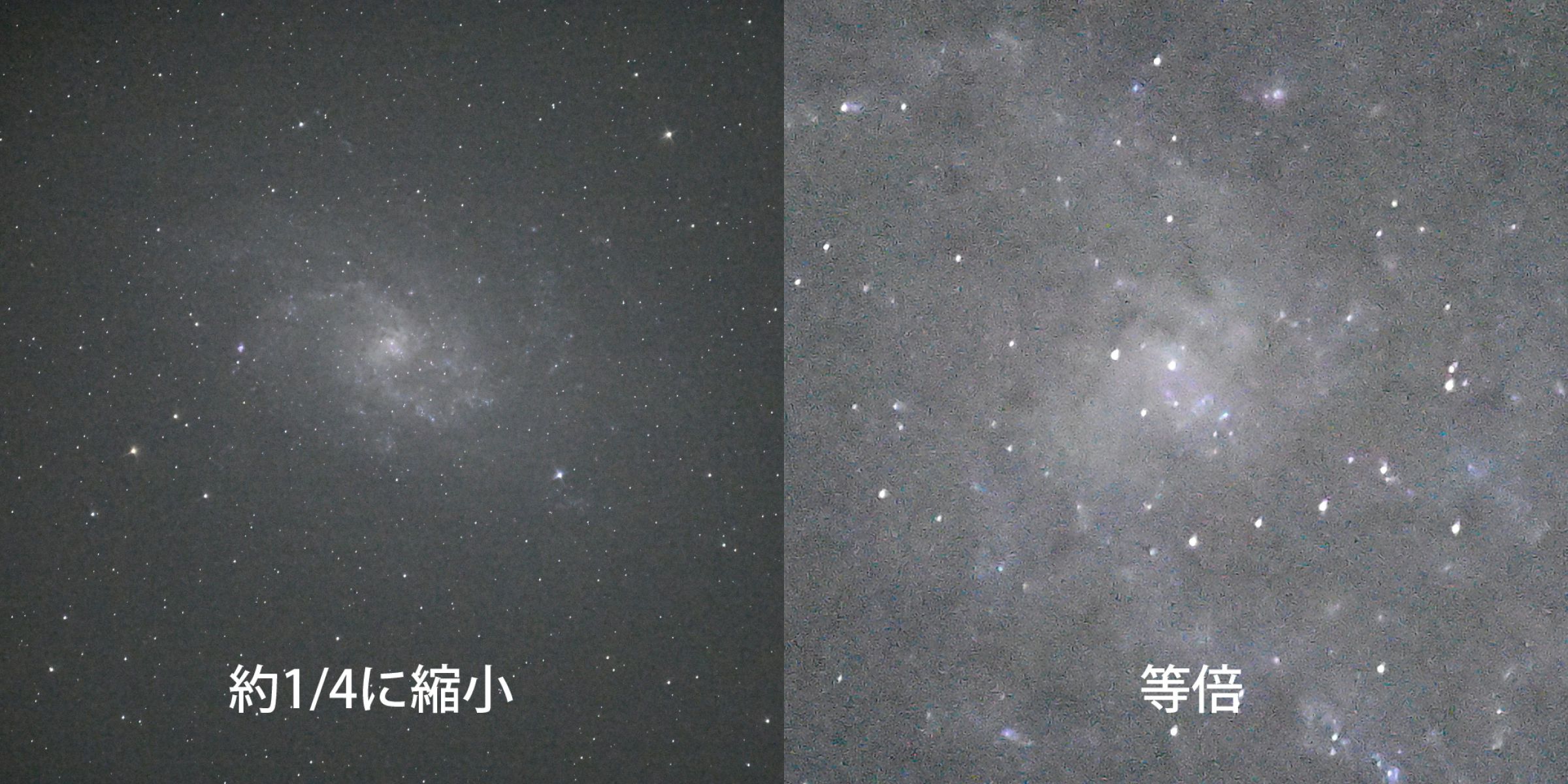 注目製品レビュー～ニコン Z 8 編～ Vol.17 天体撮影 | GANREF