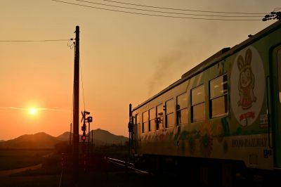 夕焼けの北条鉄道
