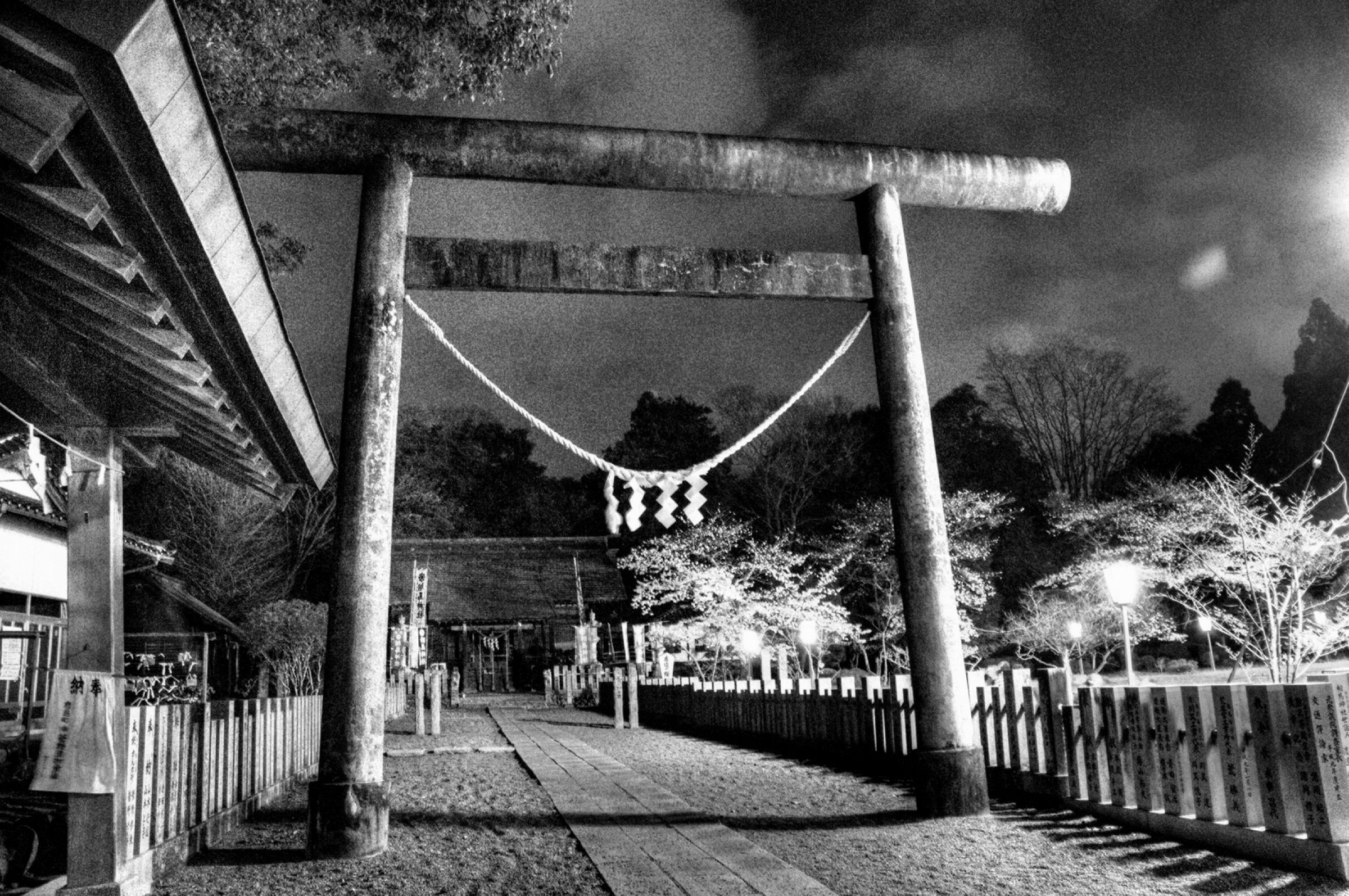 夜の鳥居 | GANREF