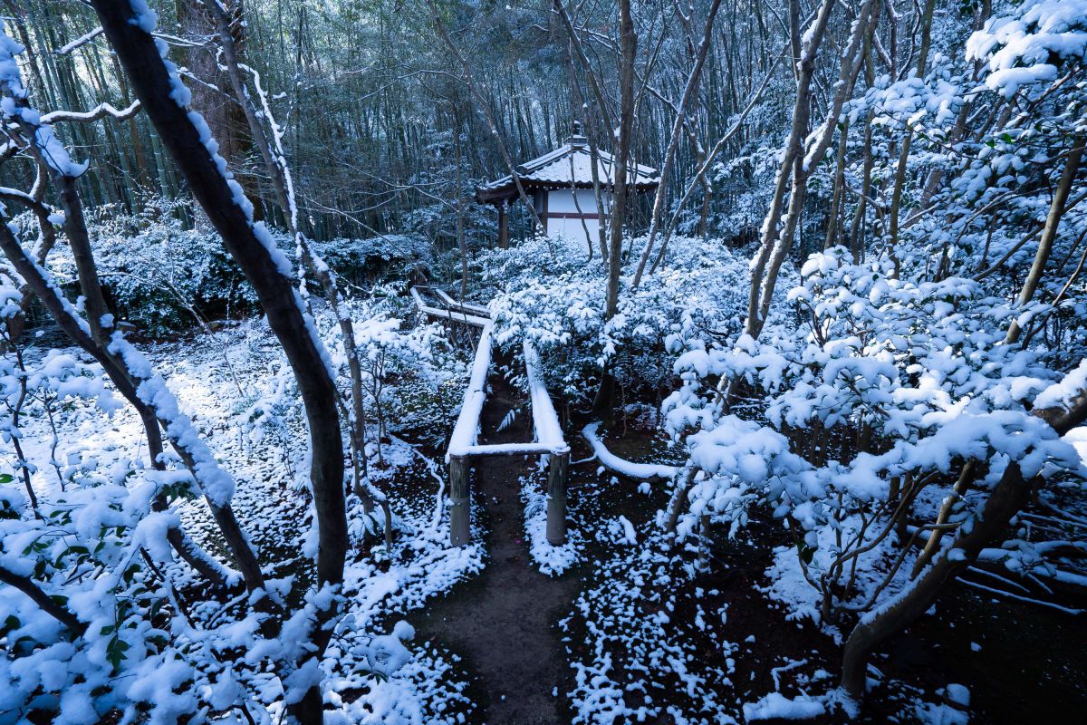 清涼寺(五) GANREF