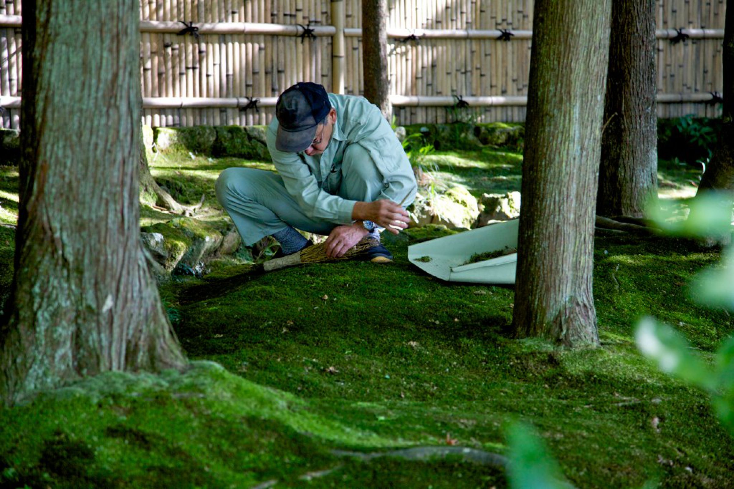 ヒンメリ フラーレン＋3D生命の樹 踏切アニメ】複雑な電車 5 Train Climbing Pynamid 2025