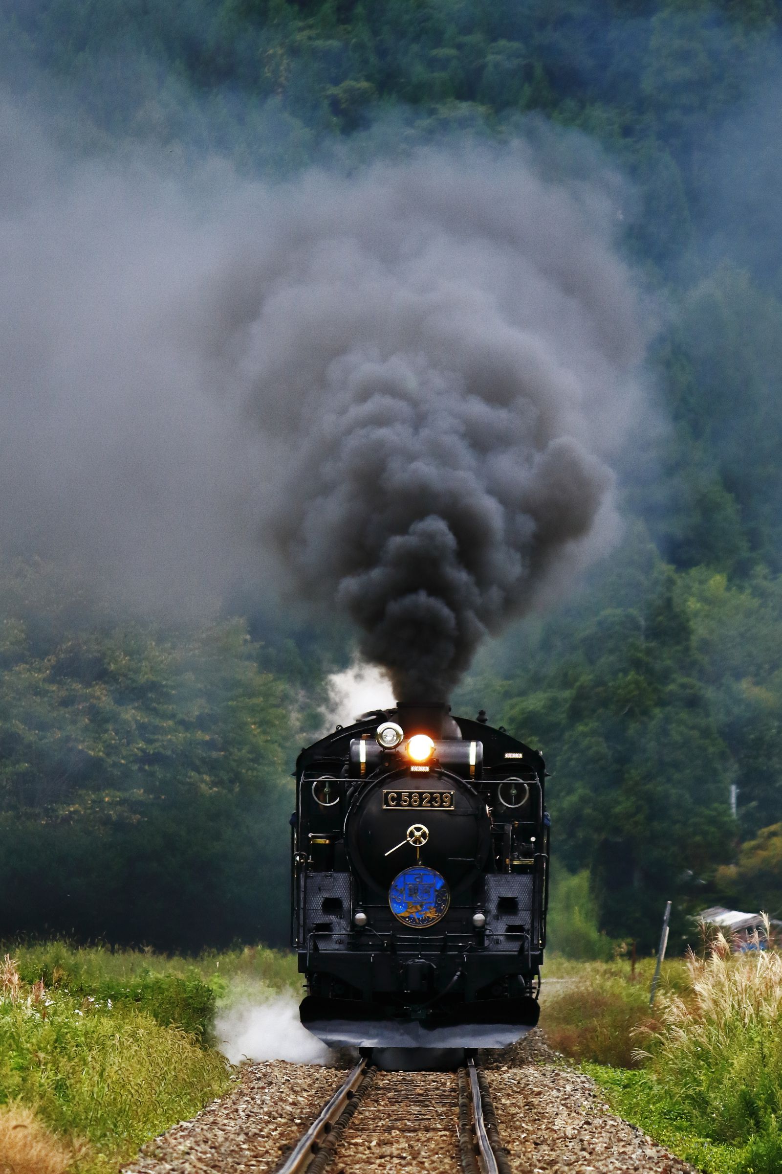 向かってくる。 | GANREF