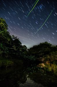 地上の星、夜空の星～Time of eternity～ | GANREF