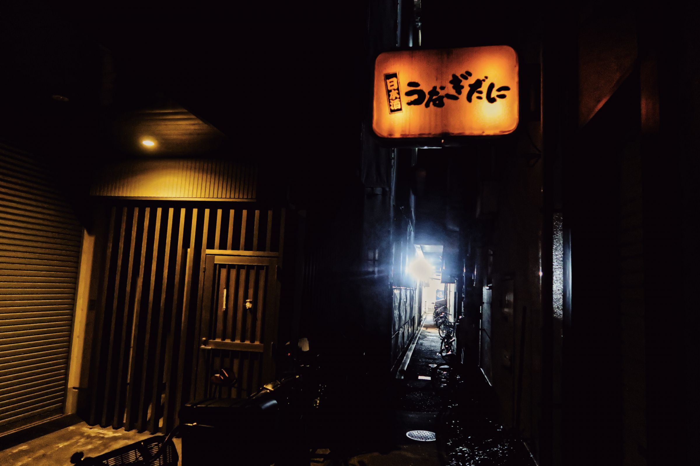 仄暗い闇の中から | GANREF