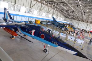 Grumman F-14 Tomcat (161141) | GANREF