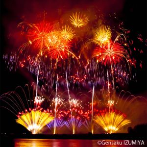 栃木県 佐野市 くずうフェスタ花火大会 行事 その他 Ganref