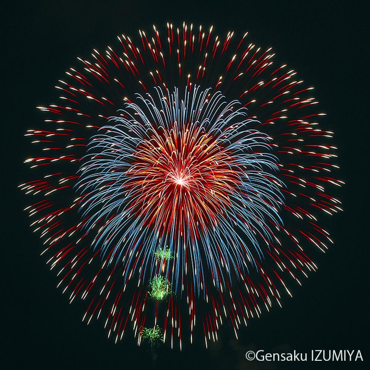 山形県 鶴岡市 赤川花火大会 行事 その他 Ganref