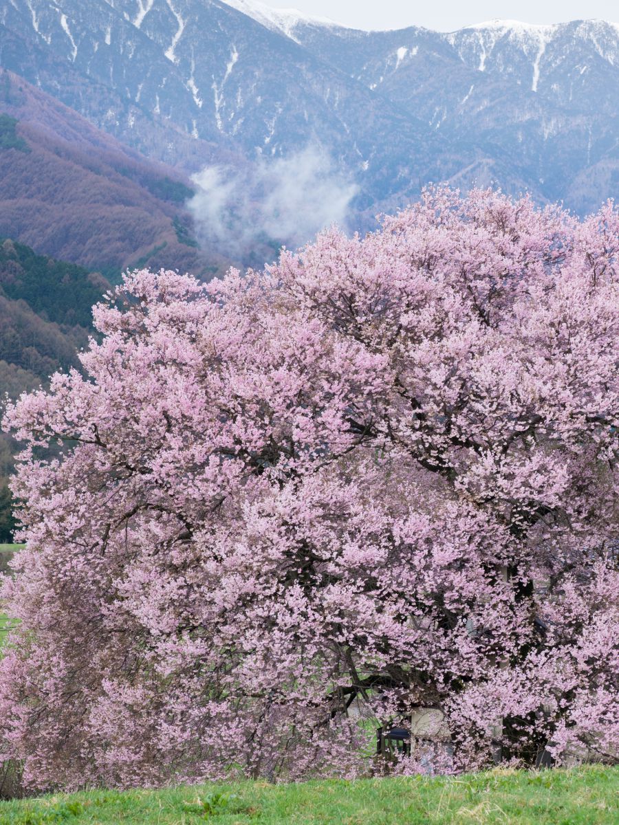 花曇り 自然 風景 山 Ganref