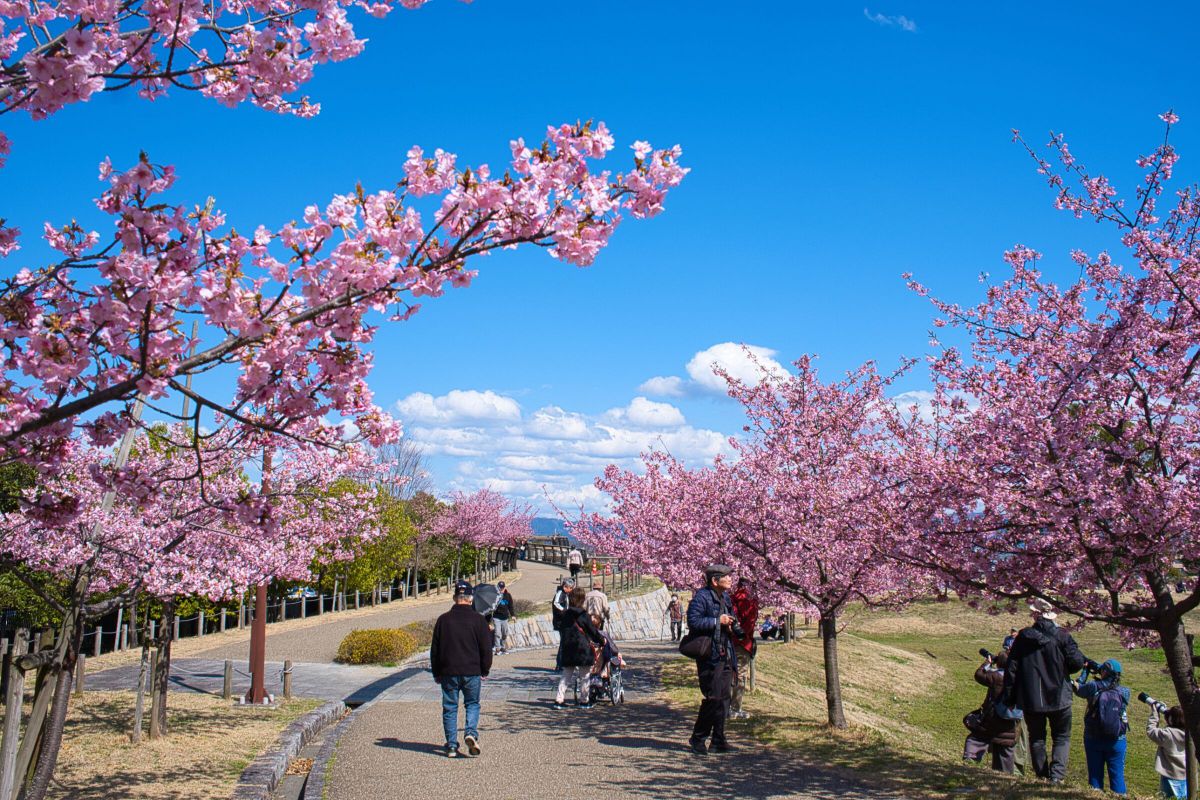 小春日和 小春日和 | GANREF