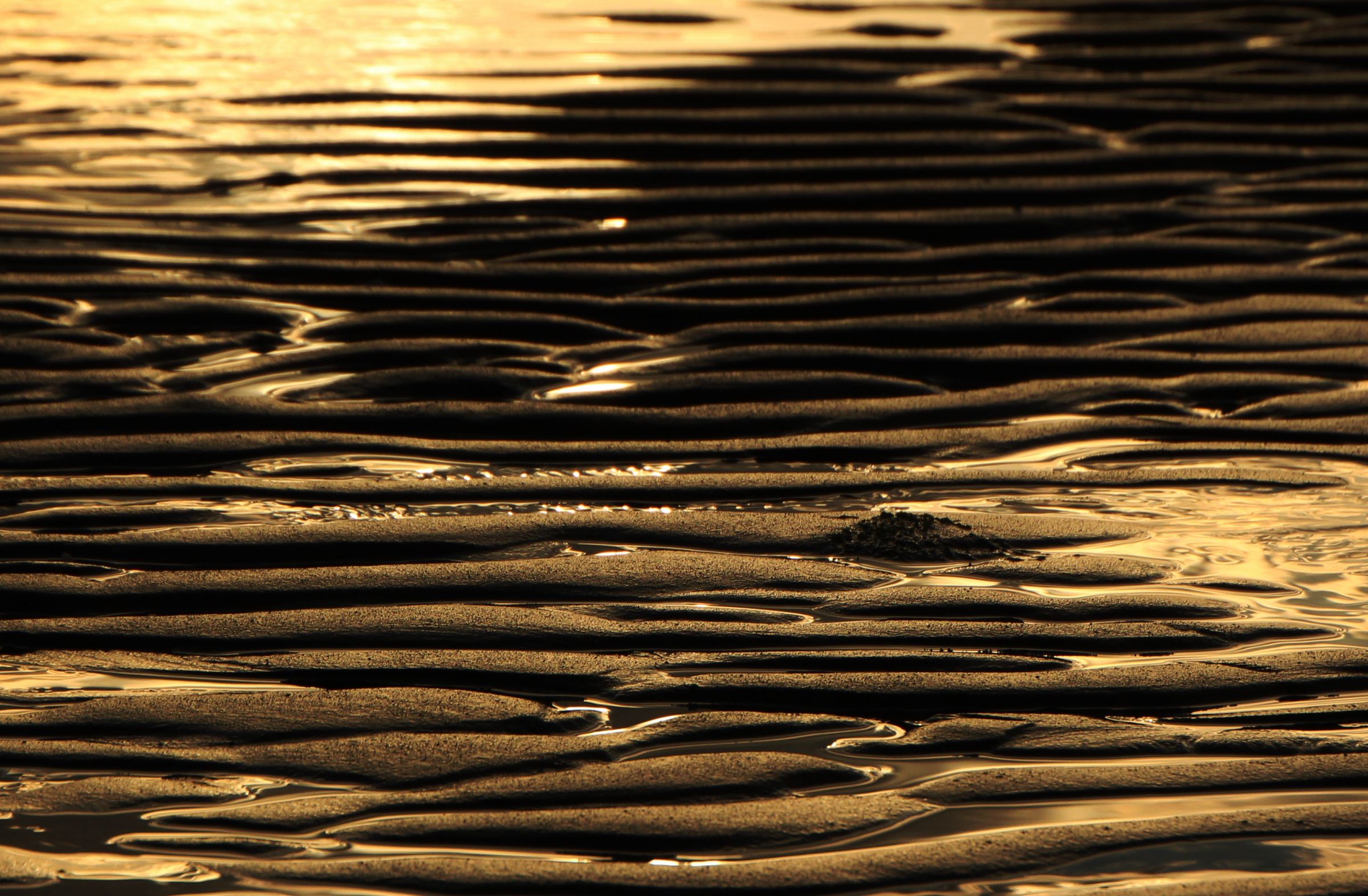 リップルマーク | GANREF