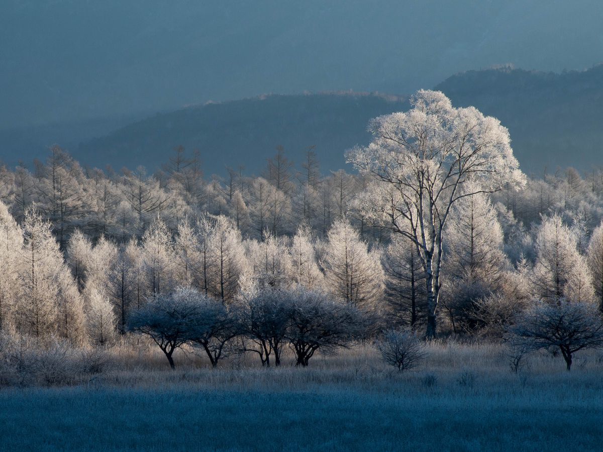 DA☆50-135mm F2.8ED［IF］SDMで撮影された写真 | 写真検索 | GANREF