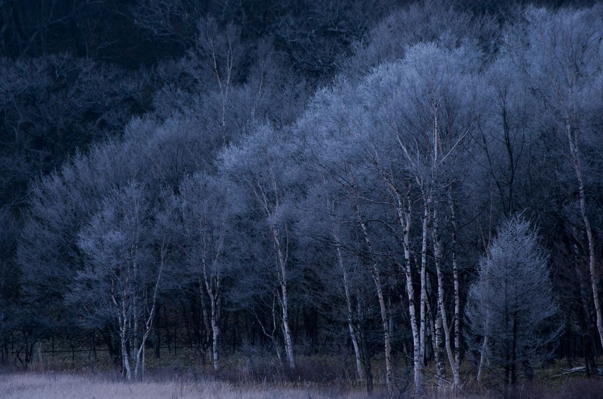 DA50-200mmF4-5.6ED WRで撮影された写真 | 写真検索 | GANREF