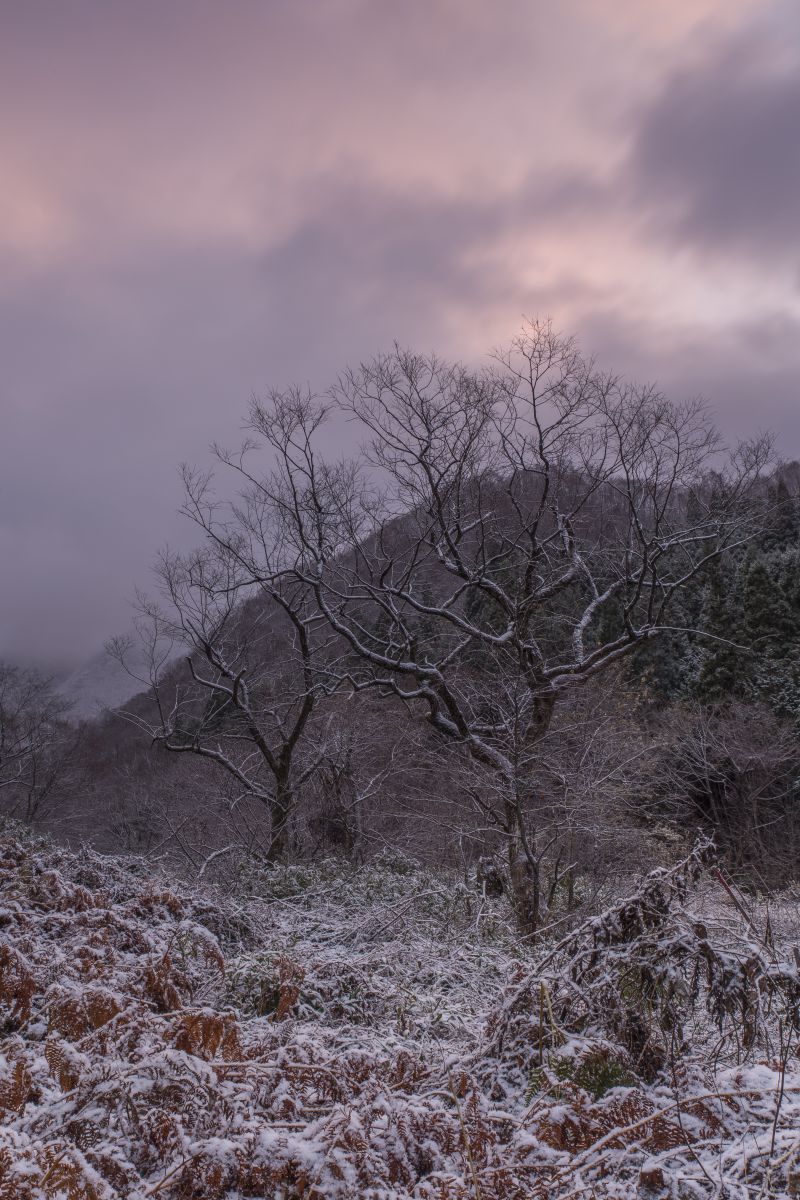 凍空 自然 風景 大地 Ganref