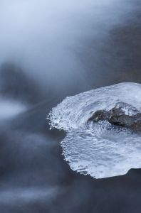 氷華 氷華 | GANREF