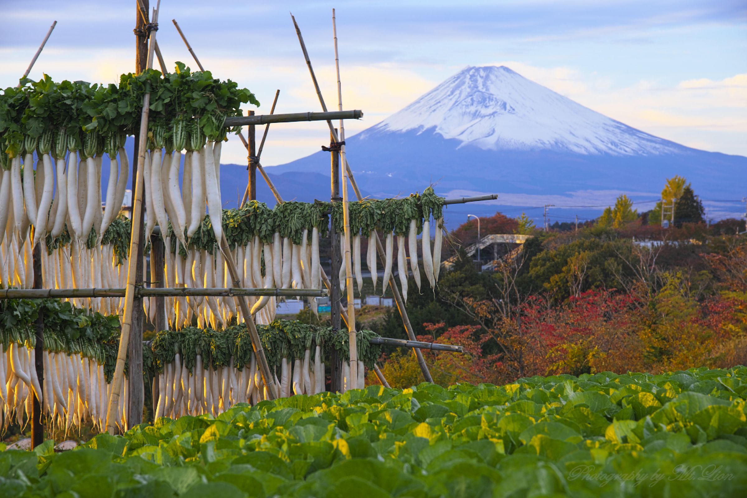 　日本原風景 