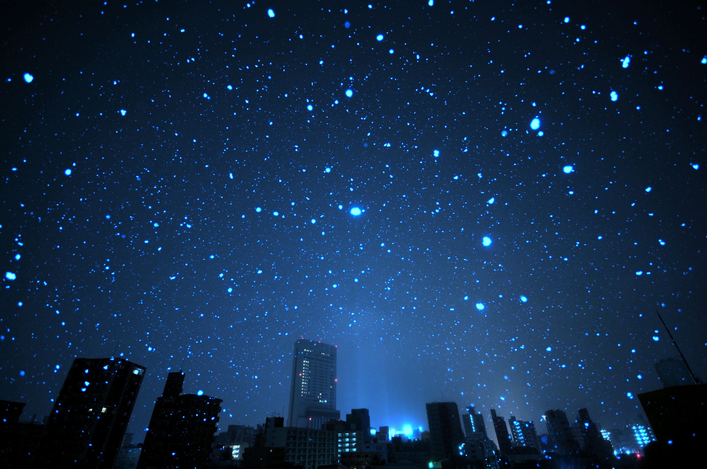 深夜の雪 | GANREF